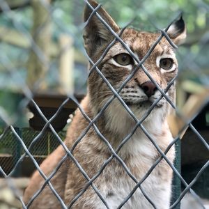 Meet your Posher, Stephen